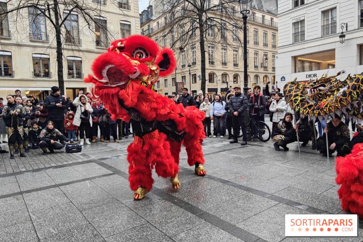 Défilé du Nouvel An Lunaire-Chinois Faubourg Saint-Honoré  - IMG20250205130728