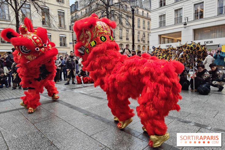 Défilé du Nouvel An Lunaire-Chinois Faubourg Saint-Honoré  - IMG20250205130635