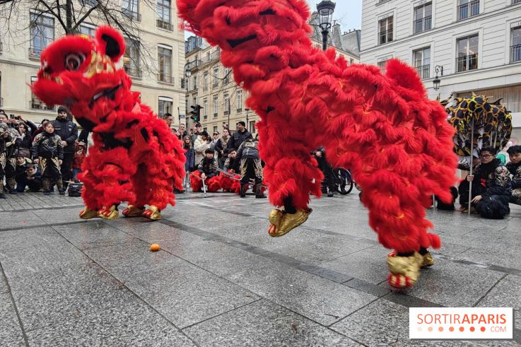 Défilé du Nouvel An Lunaire-Chinois Faubourg Saint-Honoré  - IMG20250205130539