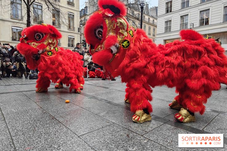 Défilé du Nouvel An Lunaire-Chinois Faubourg Saint-Honoré  - IMG20250205130537