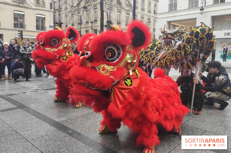 Défilé du Nouvel An Lunaire-Chinois Faubourg Saint-Honoré  - IMG20250205130401