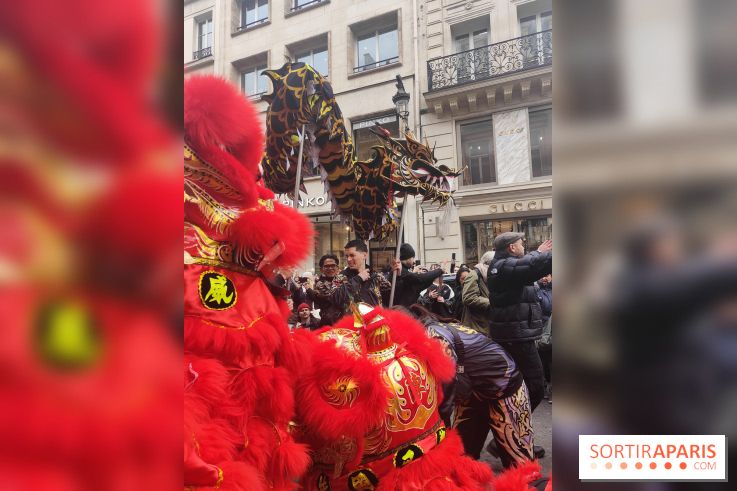Défilé du Nouvel An Lunaire-Chinois Faubourg Saint-Honoré  - IMG20250205125902