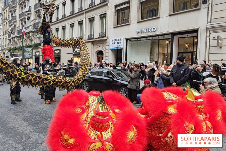Défilé du Nouvel An Lunaire-Chinois Faubourg Saint-Honoré  - IMG20250205125818