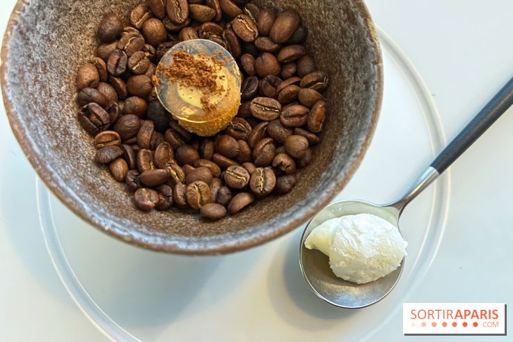 Pages - Amuse-bouches