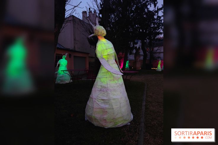Exposition Silva Lumina au Centre Culturel Irlandais