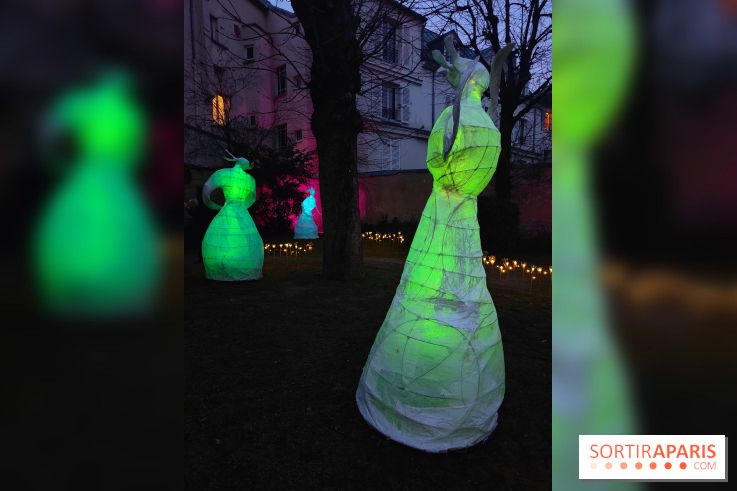 Exposition Silva Lumina au Centre Culturel Irlandais  - fotor 1738780237770