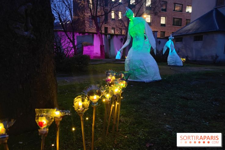 Exposition Silva Lumina au Centre Culturel Irlandais