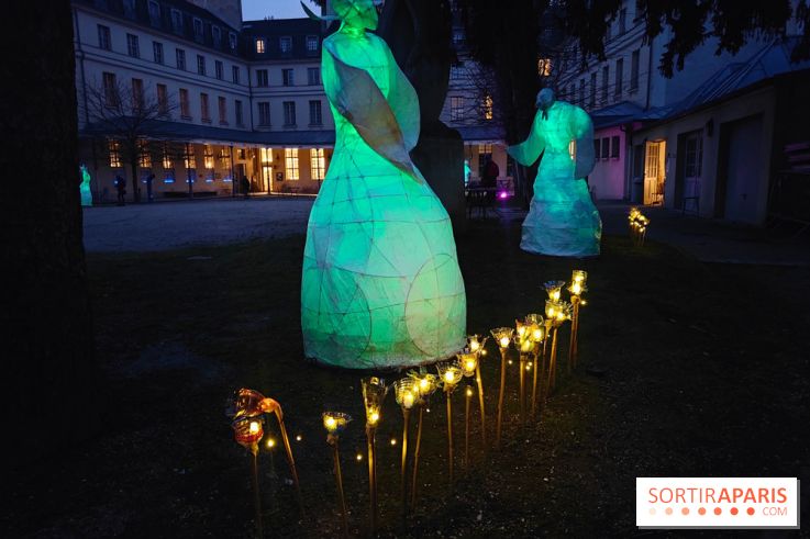 Exposition Silva Lumina au Centre Culturel Irlandais  - fotor 1738780143460