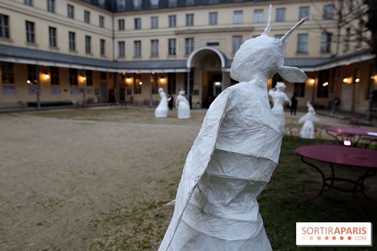 Exposition Silva Lumina au Centre Culturel Irlandais  - Silva Lumina 2 fotor 2025020691851