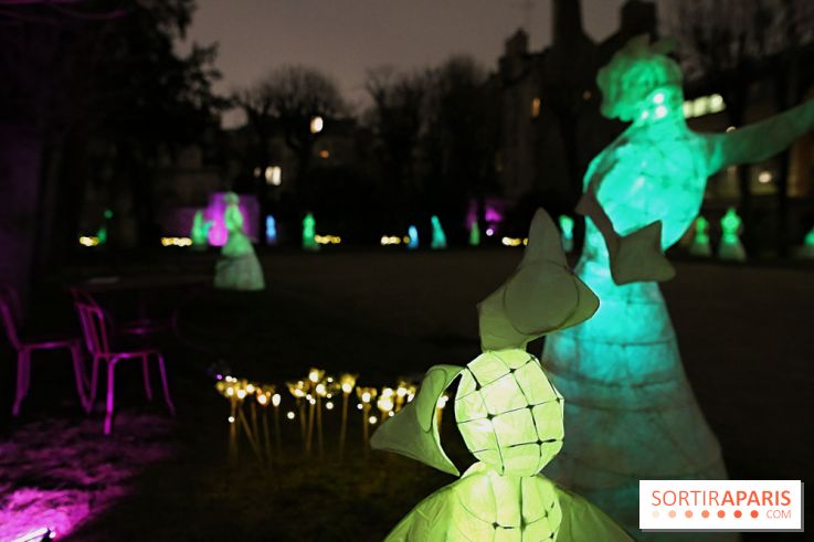 Exposition Silva Lumina au Centre Culturel Irlandais  - Silva Lumina 8 fotor 2025020691539