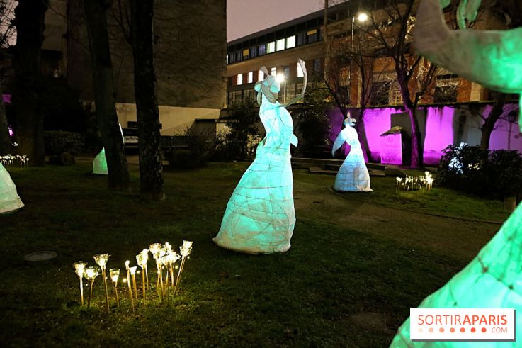 Exposition Silva Lumina au Centre Culturel Irlandais  - Silva Lumina 10 fotor 2025020691457