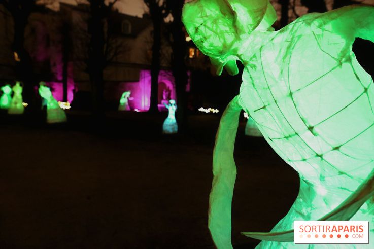 Exposition Silva Lumina au Centre Culturel Irlandais  - Silva Lumina 12 fotor 2025020692052