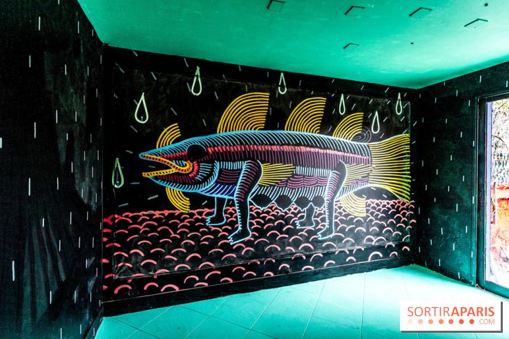 Colors Festival 2025 à Champigny spécial Amérique Latine -  A7C1192