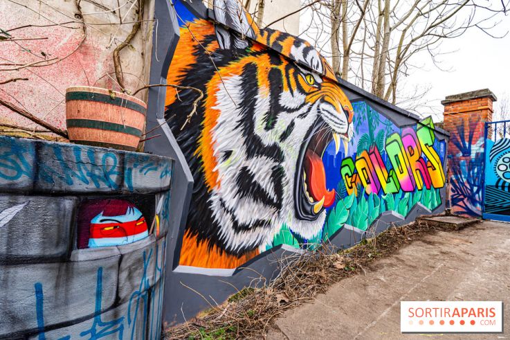 Colors Festival 2025 à Champigny spécial Amérique Latine -  A7C1286