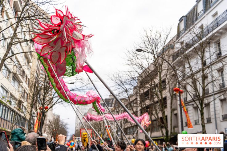 Défilé du Nouvel an Lunaire - Chinois 2025 Paris 13e - les photos
