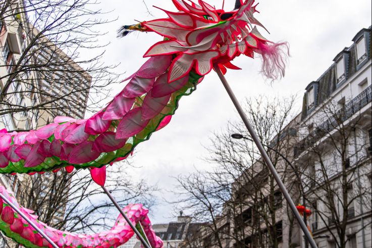 Défilé du Nouvel an Lunaire - Chinois 2025 Paris 13e - les photos -  A7C1374