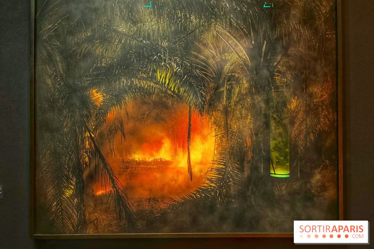 Paysages mouvants - IMG 8693