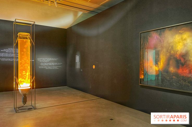 Paysages mouvants - IMG 8695