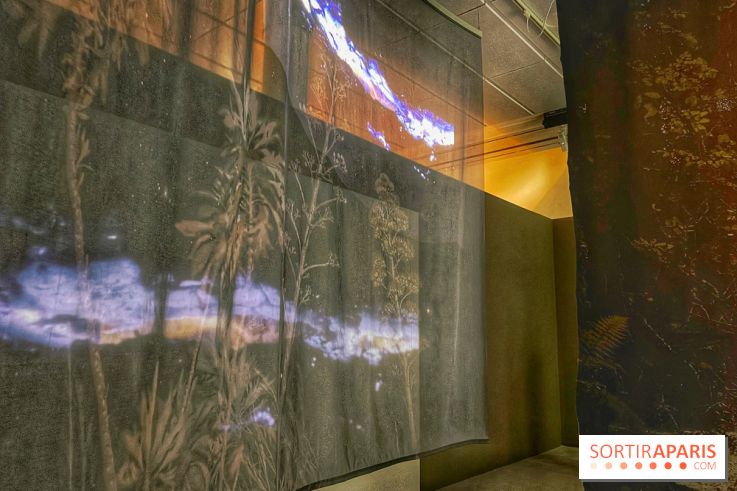 Paysages mouvants - IMG 8696