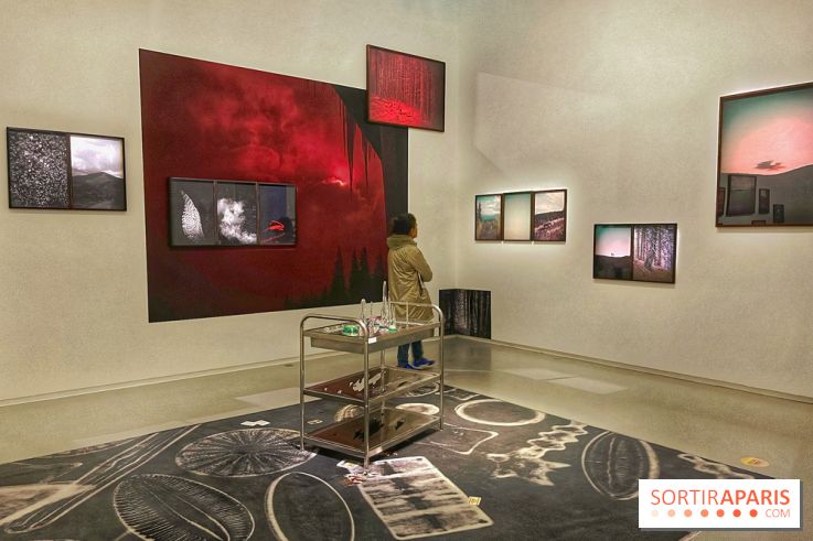 Paysages mouvants - IMG 8707