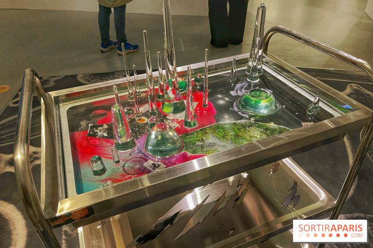 Paysages mouvants - IMG 8712