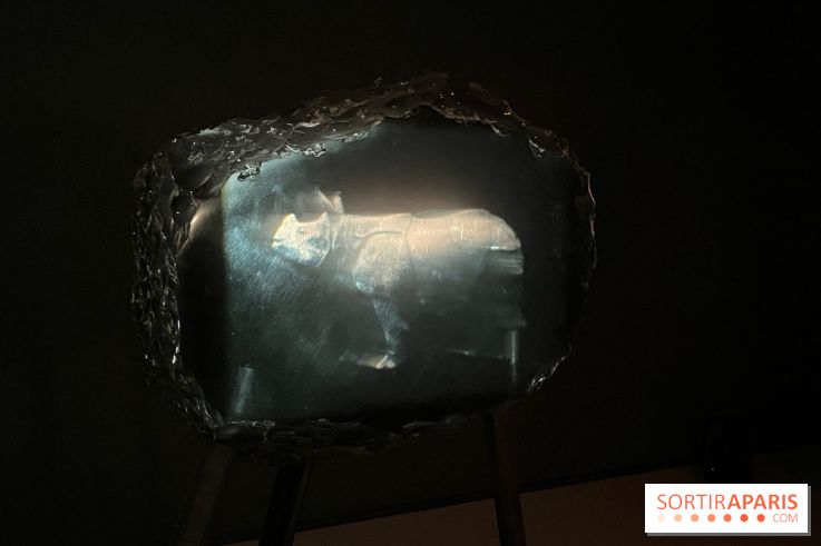 Paysages mouvants - IMG 8717