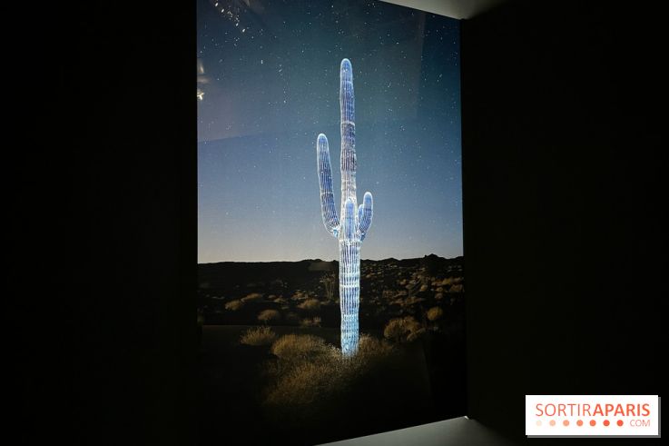 Paysages mouvants - IMG 8721