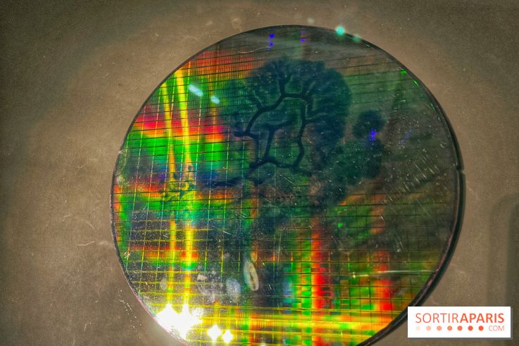 Paysages mouvants - IMG 8722