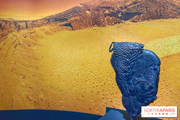 Paysages mouvants - IMG 8729