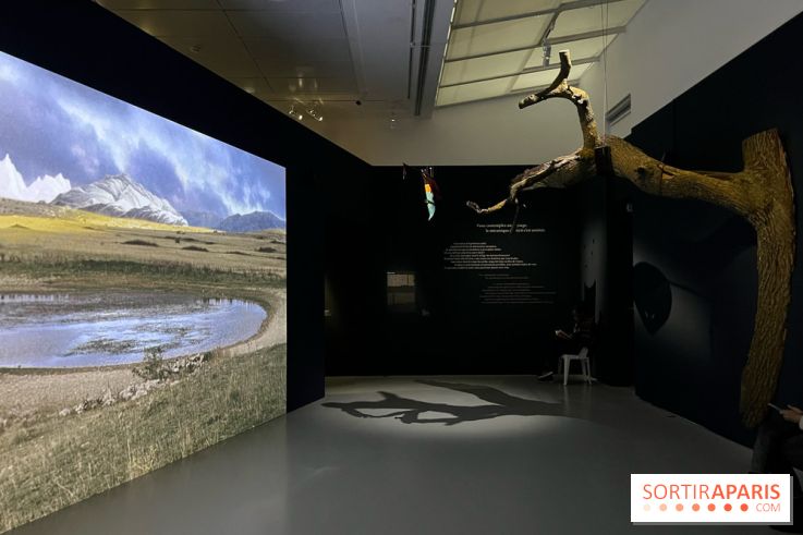 Paysages mouvants - IMG 8730