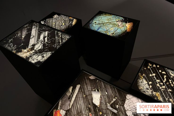 Paysages mouvants - IMG 8739