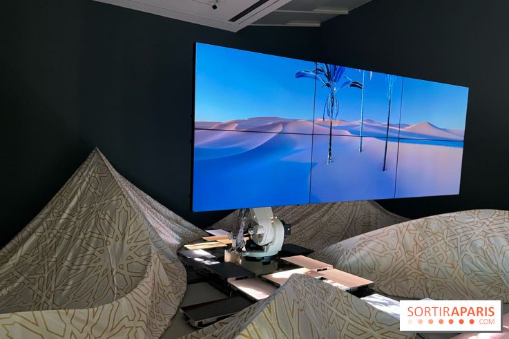 Paysages mouvants - IMG 8743