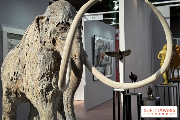 Art Capital 2025 - IMG 9628