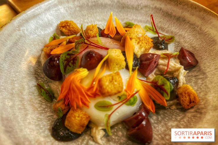 Pouliche - mercredi veggie