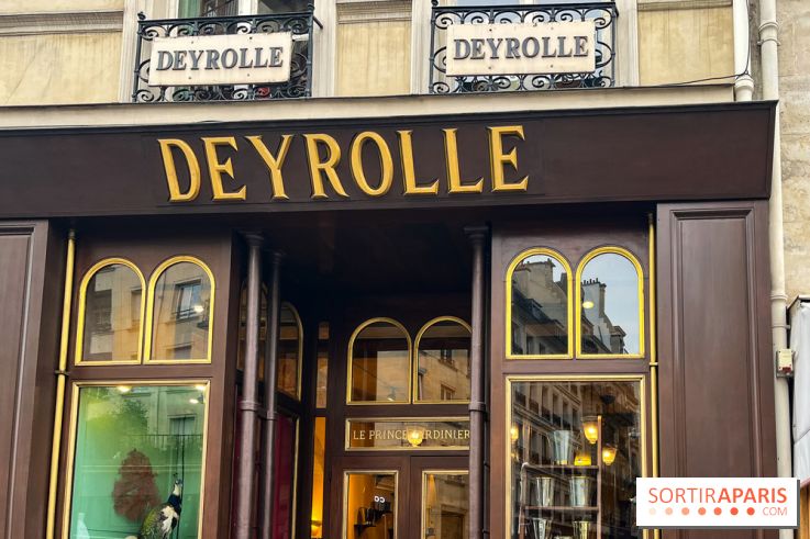 Deyrolle, l'incroyable cabinet de curiosités à Paris - nos photos