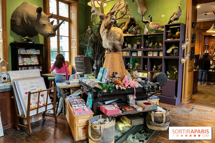 Deyrolle, l'incroyable cabinet de curiosités à Paris - nos photos