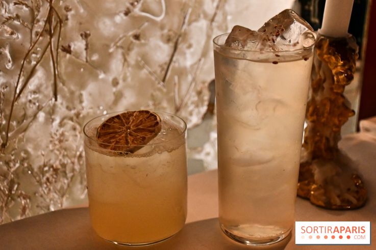 Ojii, l'excellent spot aux allures de bar tokyoïde à Paris - DSC 3538 Fotor