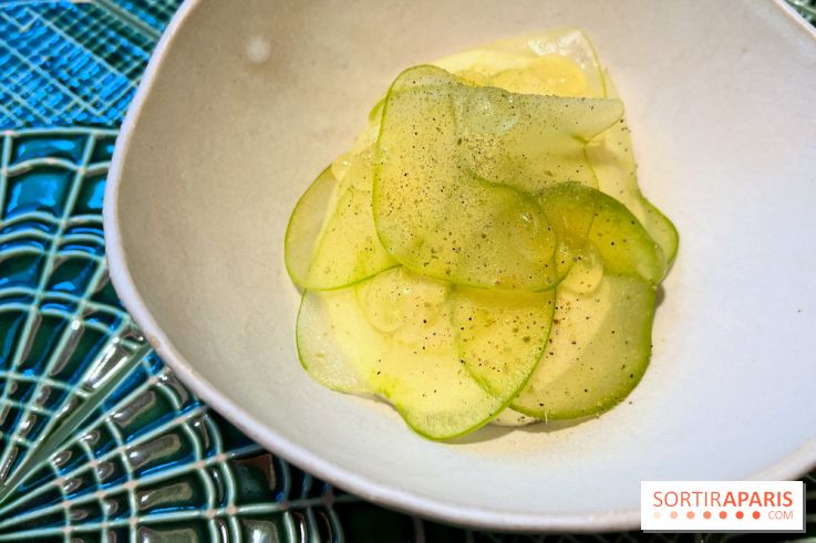 Le Christine - Sorbet pomme, kiwi déshydraté