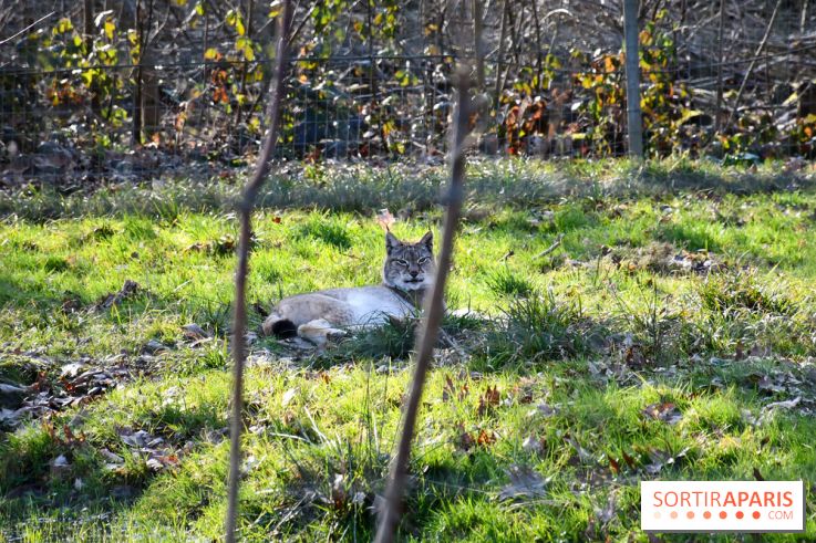 Lumigny Safari Reserve - nos photos