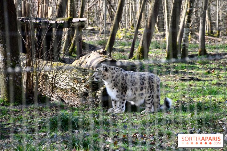 Lumigny Safari Reserve - nos photos