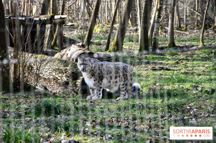 Lumigny Safari Reserve - nos photos