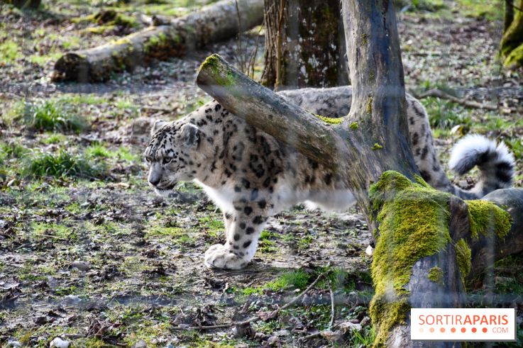 Lumigny Safari Reserve - nos photos
