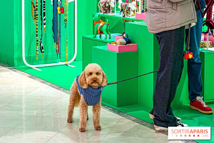 Je T'aime Comme Un Chien : food, mode, déco ... une expo qui a du chien au Bon Marché Rive Gauche - image00003