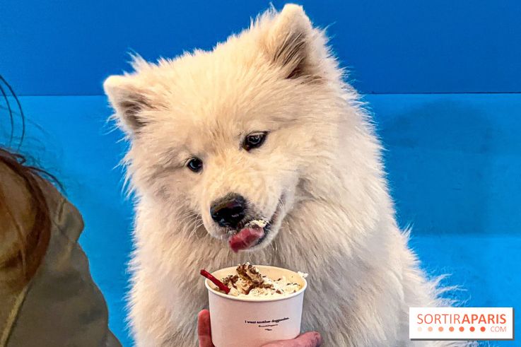 Je T'aime Comme Un Chien : food, mode, déco ... une expo qui a du chien au Bon Marché Rive Gauche - image00031