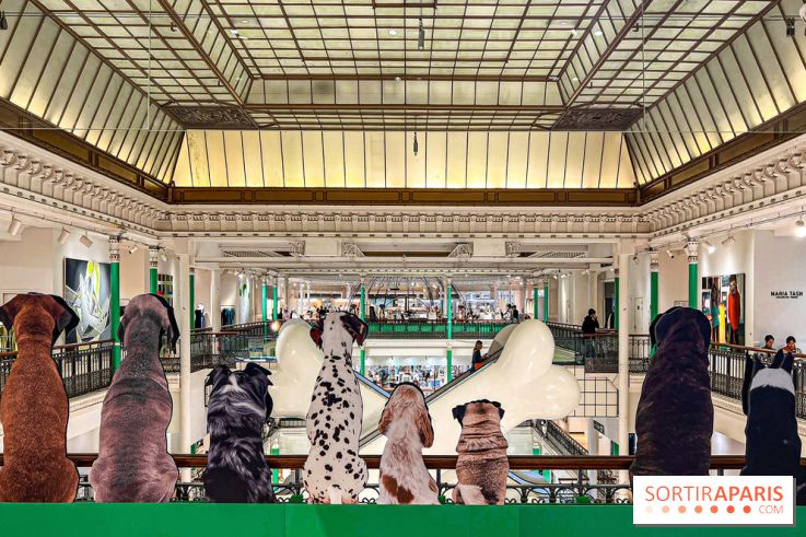 Je T'aime Comme Un Chien : food, mode, déco ... une expo qui a du chien au Bon Marché Rive Gauche - image00041