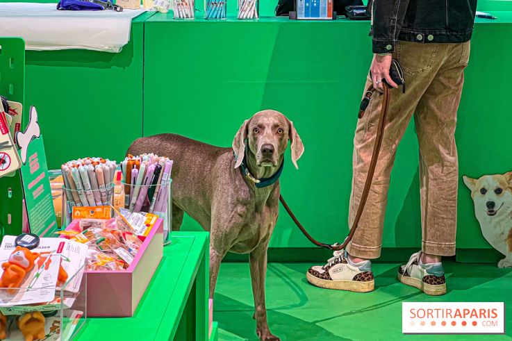 Je T'aime Comme Un Chien : food, mode, déco ... une expo qui a du chien au Bon Marché Rive Gauche - image00060