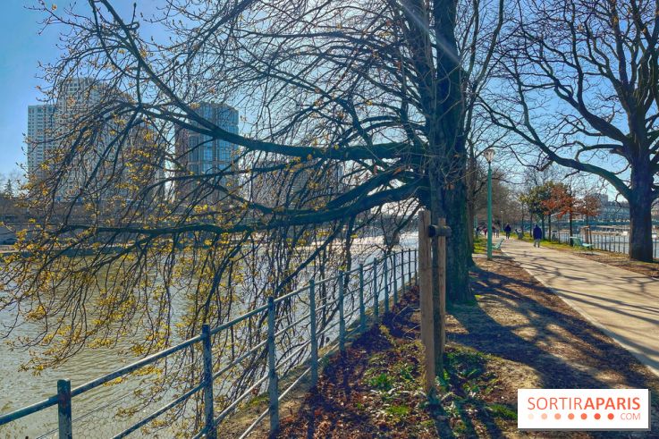 Île aux Cygnes - IMG 9071