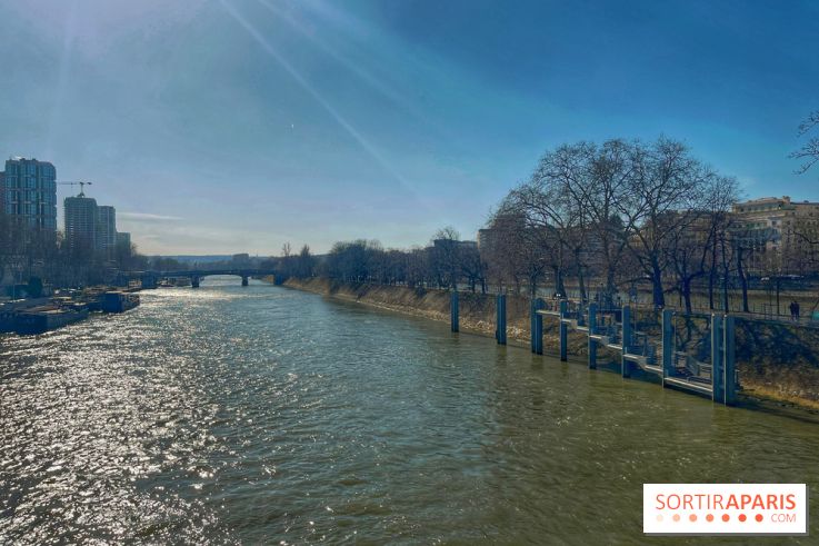 Île aux Cygnes - IMG 9089