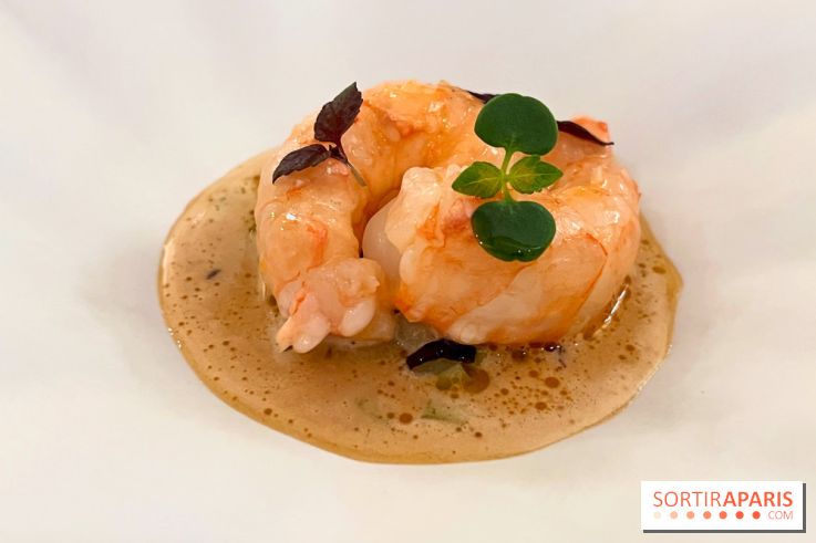 Episodes - Langoustine, céleri, bergamote