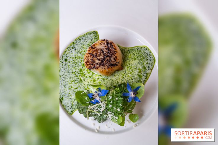 Granite, le restaurant étoilé par le talentueux par Yoshitaka Takayanagi - A7C02813